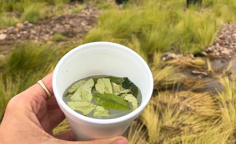 A ceramic cup filled with coca tea made from green coca leaves, resting on a wooden table, commonly consumed in Uyuni and other Andean regions to relieve altitude sickness.