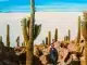 La Isla de Incahuasi es uno de los lugares más representativos de Uyuni.