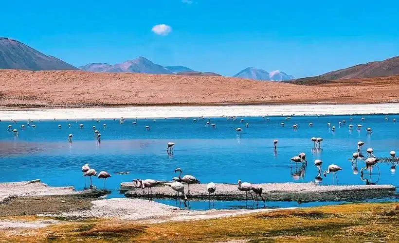 Una de las pocas entradas al Salar de Uyuni es a través de la Reserva Eduardo Avaroa.