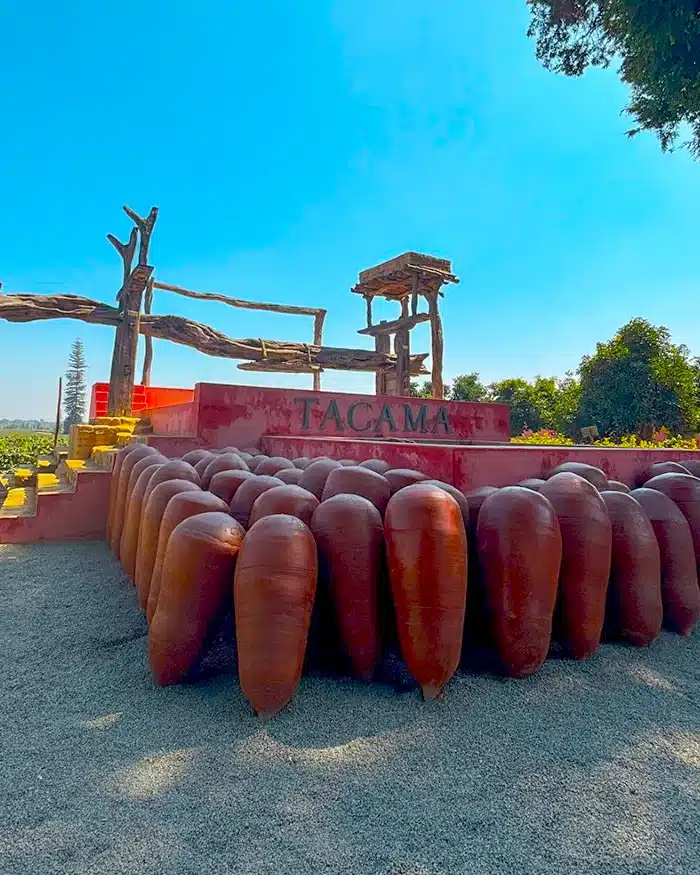 El arte y la historia del vino peruano cobran vida en esta instalación que recrea los métodos ancestrales de producción.