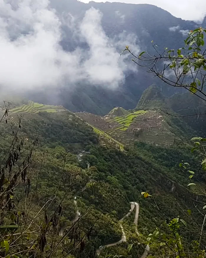 El paisaje andino cubierto de vegetación densa y montañas imponentes.