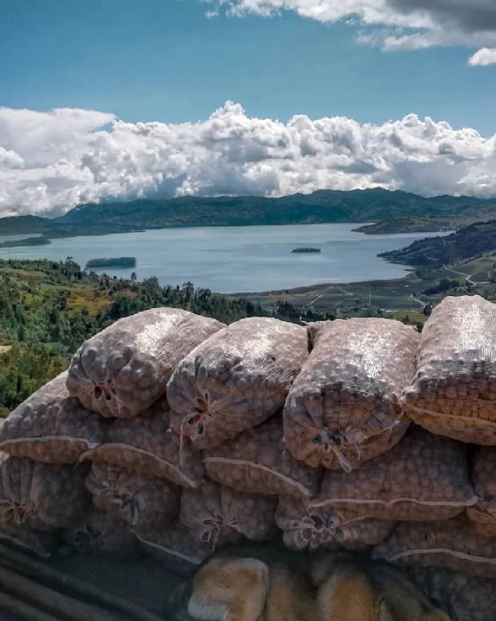 El horizonte muestra una cadena de montañas que rodean el valle, creando una vista panorámica espectacular.