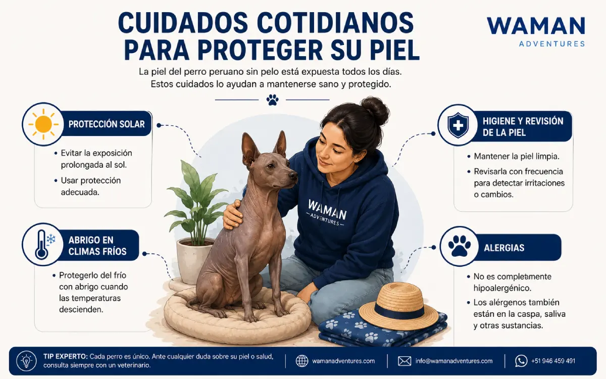 Infografía sobre los cuidados de la piel del perro peruano sin pelo