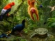 Collage de especies endémicas del Perú en la selva, con gallito de las rocas, mono, colibrí, rana y ave silvestre.