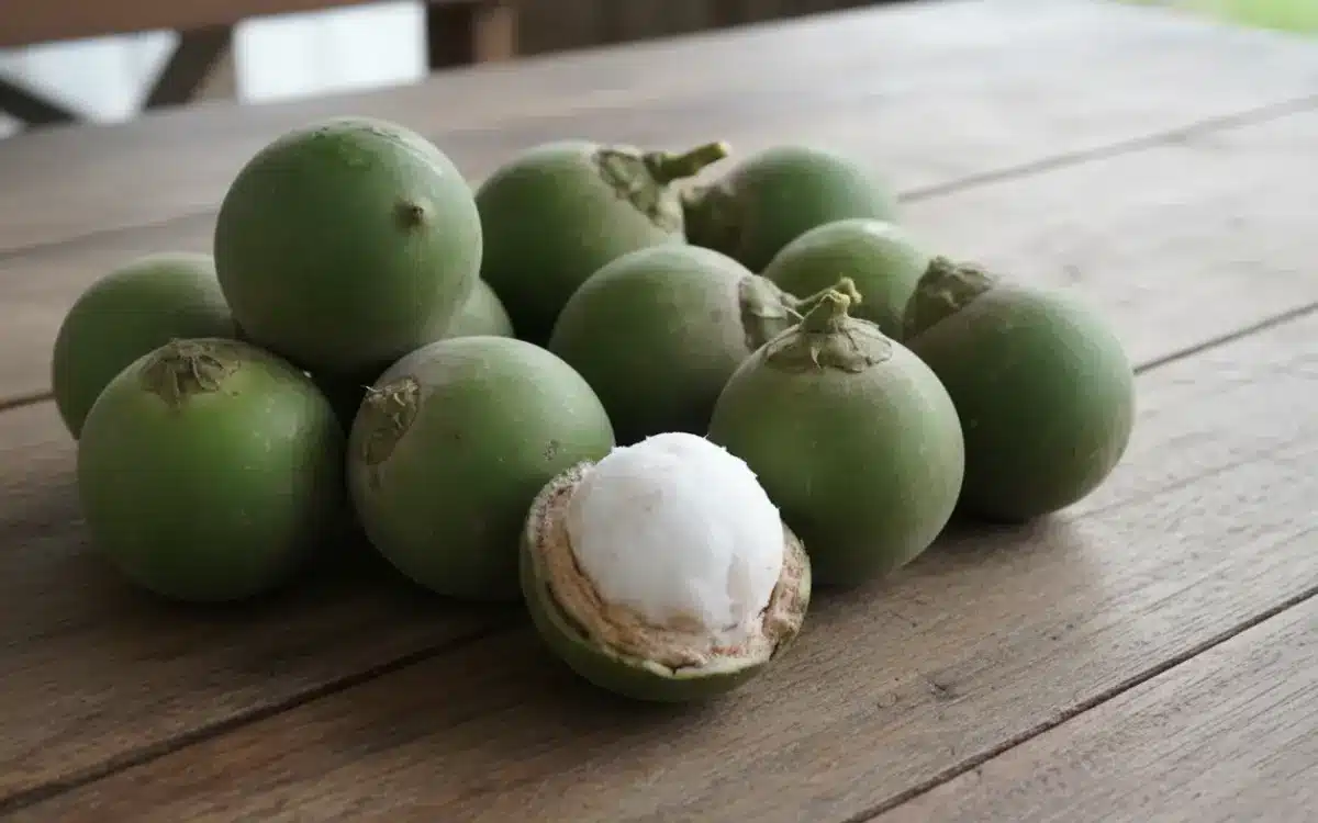 Frutos de chambira verdes sobre una mesa de madera, con uno abierto mostrando su pulpa blanca.