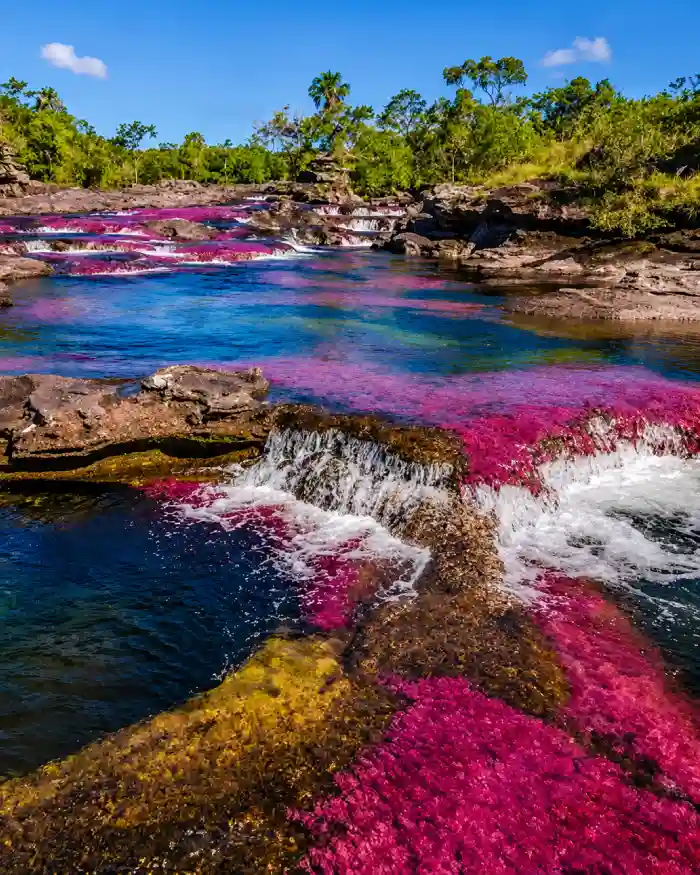 Panorámica de Caño Cristales con plantas rojizas, agua clara, rocas y pequeñas cascadas