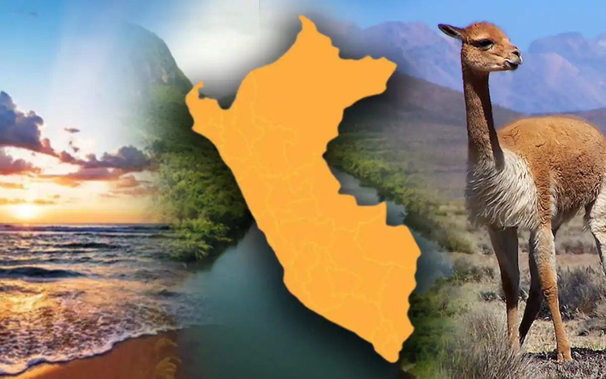 Mapa del Perú con las tres regiones naturales de fondo: costa, sierra y selva, acompañado por una vicuña en paisaje andino.