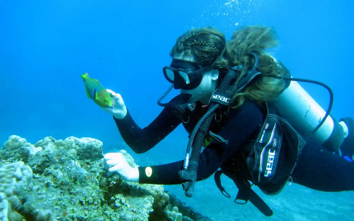 Mujer haciendo buceo en Isla de Pascua, observando peces y corales en aguas claras