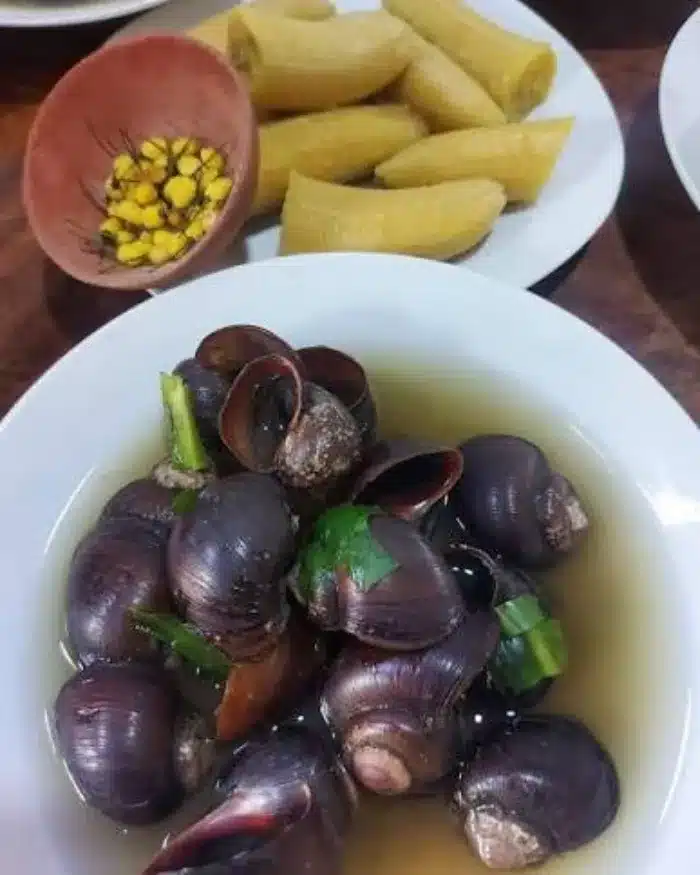 Sopa de churo amazónico servida con caracoles de río, plátano sancochado y maíz en mesa tradicional.