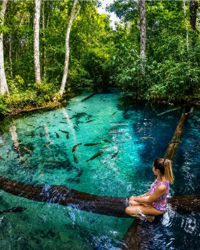 Viajera sentada sobre un tronco en una laguna de aguas cristalinas con peces
