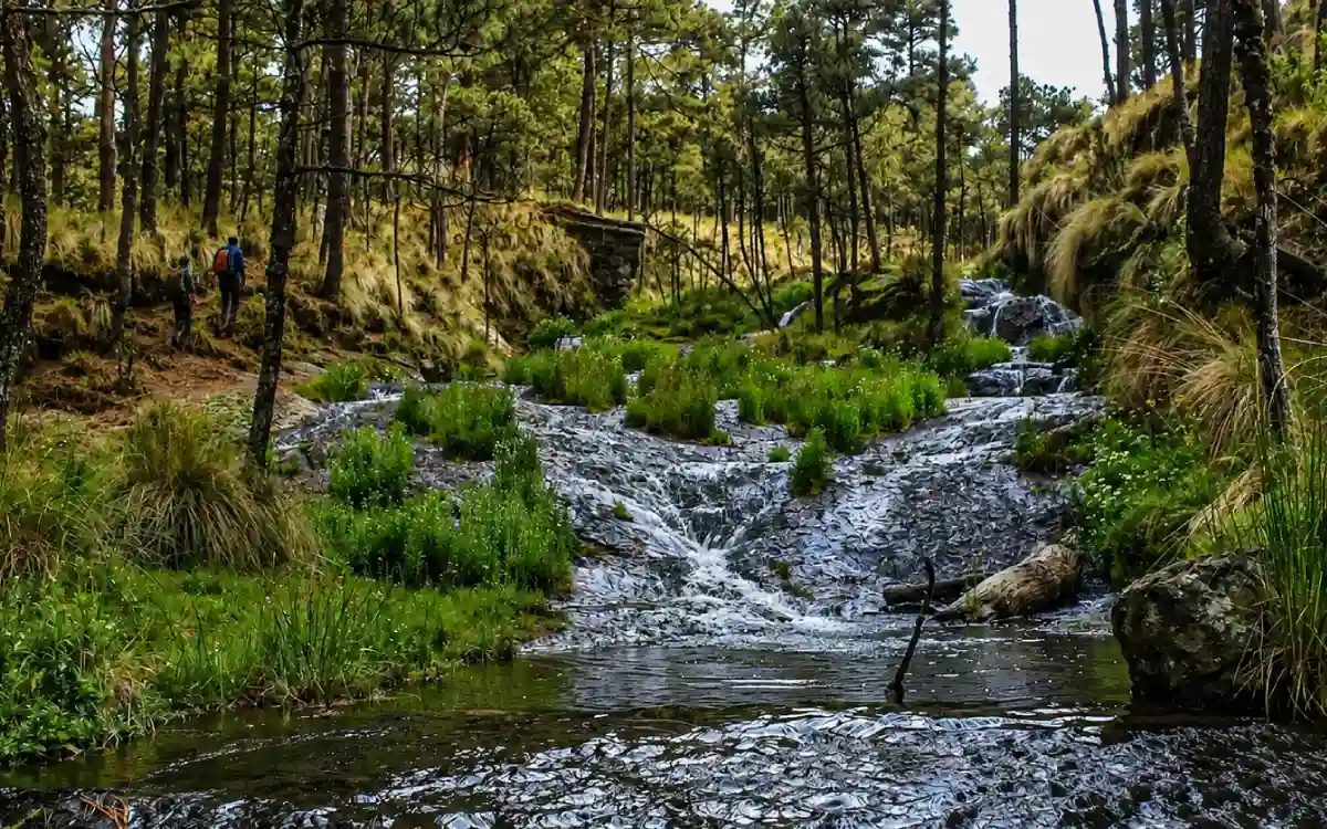 Excursionistas recorriendo un sendero dentro del Parque Nacional Iztaccíhuatl-Popocatépetl