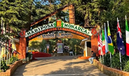 Santuario El Rosario: clima, temporada y cómo visitarlo