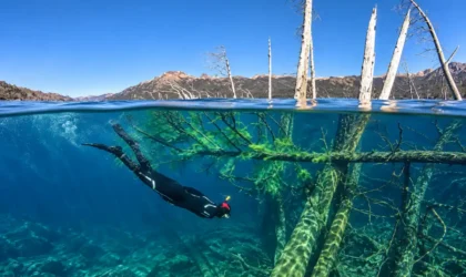 Lago Traful: dónde queda, qué profundidad tiene y cómo ver su bosque sumergido Lago Traful: dónde queda, qué profundidad tiene y cómo ver su bosque sumergido