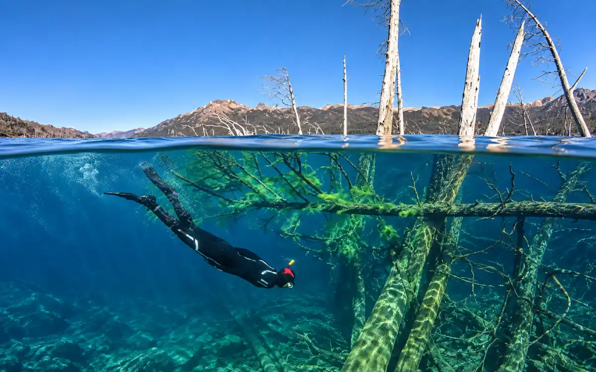 Buzo explorando árboles sumergidos bajo las aguas transparentes del Lago Traful en Neuquén