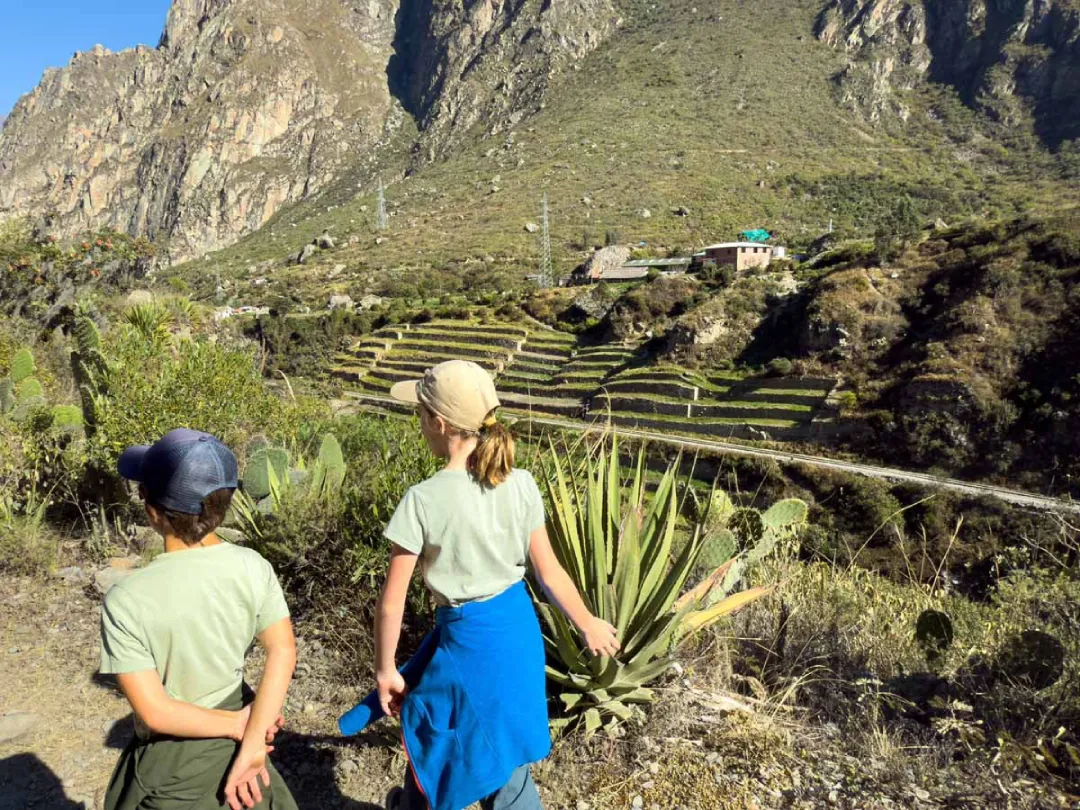 Two children hike along the Inca Trail beside Andean terraces, high-altitude vegetation and rocky mountains in the Cusco region.