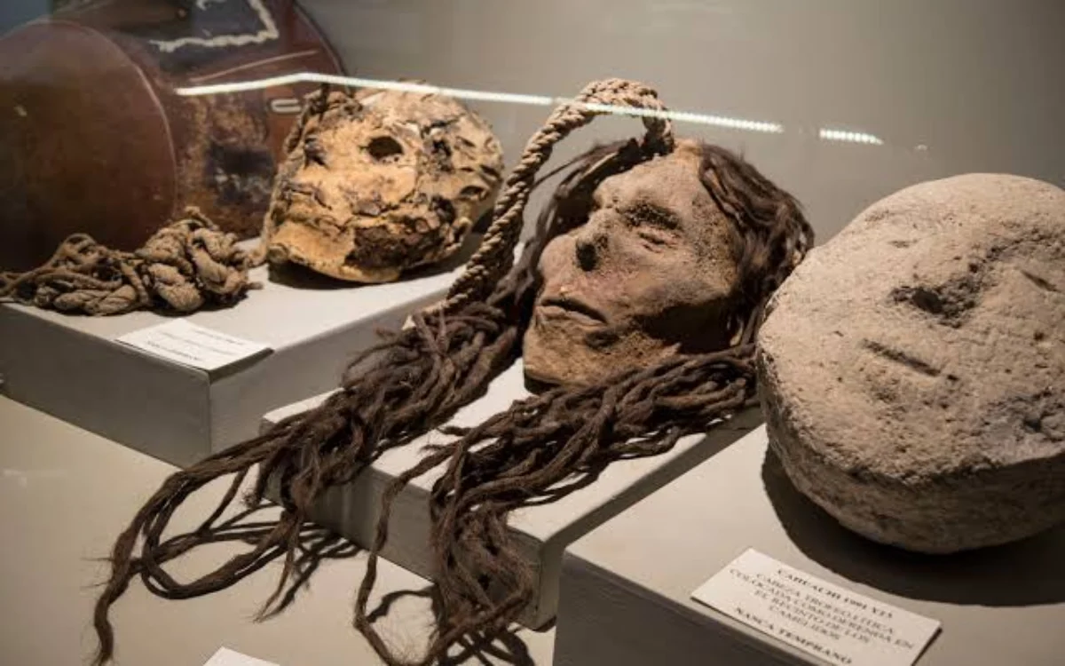 Restos y materiales arqueológicos recuperados durante las investigaciones realizadas en Cahuachi
