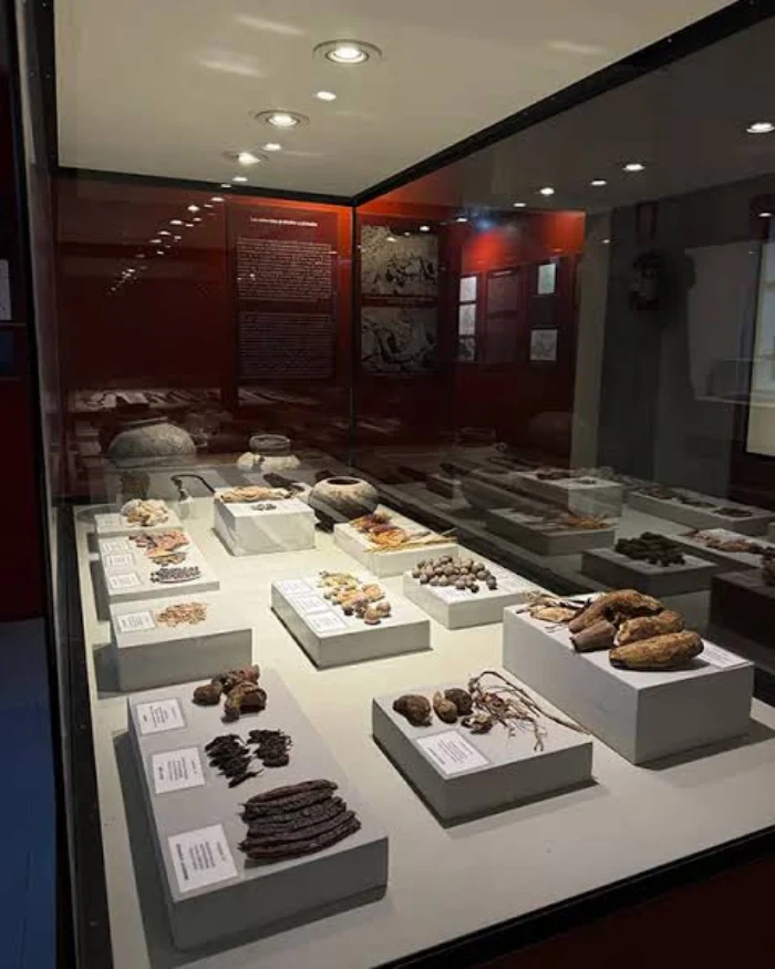 Materiales arqueológicos de Cahuachi exhibidos en una vitrina del Museo Antonini de Nazca