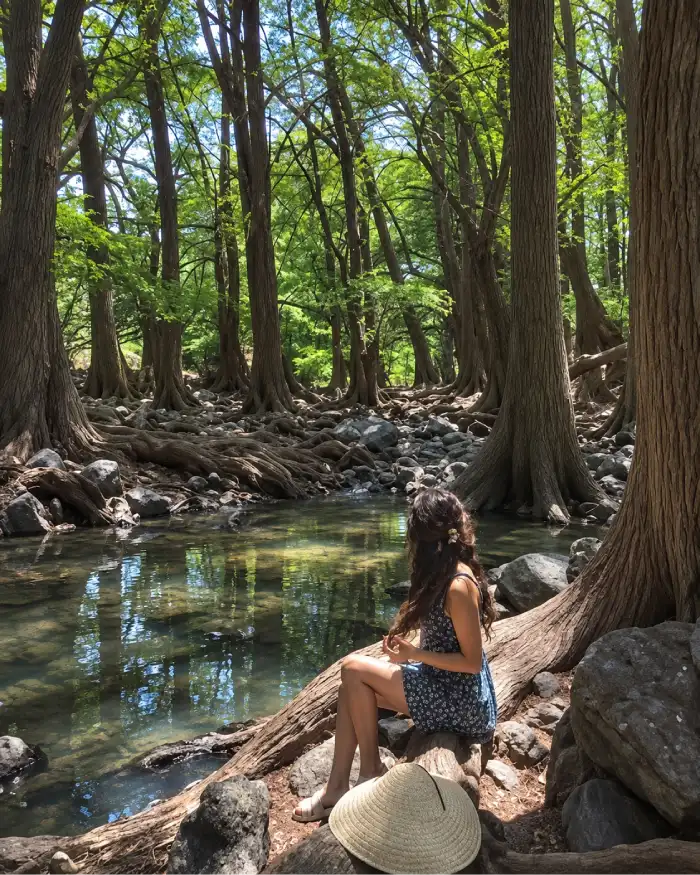 Visitante junto al agua y grandes ahuehuetes del bosque de Las Musas Guanajuato