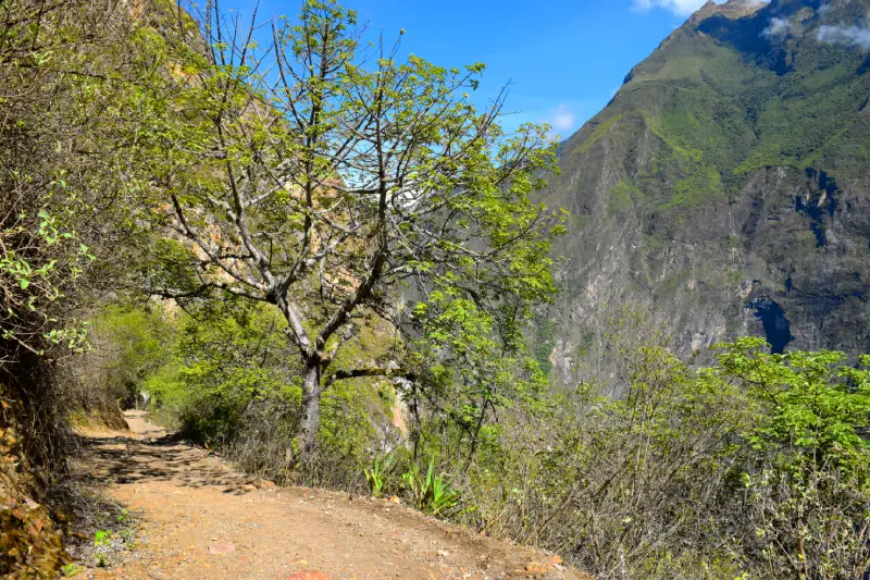 Choquequirao Tour 4 days 3 nights — Photo 1