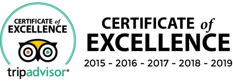Certificate of Excellence · 2015–2019