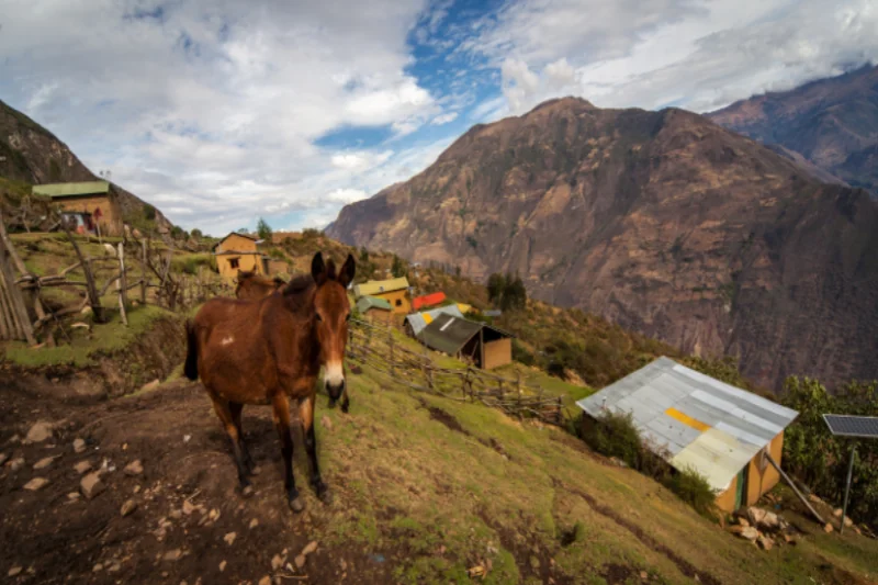Choquequirao a Machu Picchu em 7 Dias — Foto 3