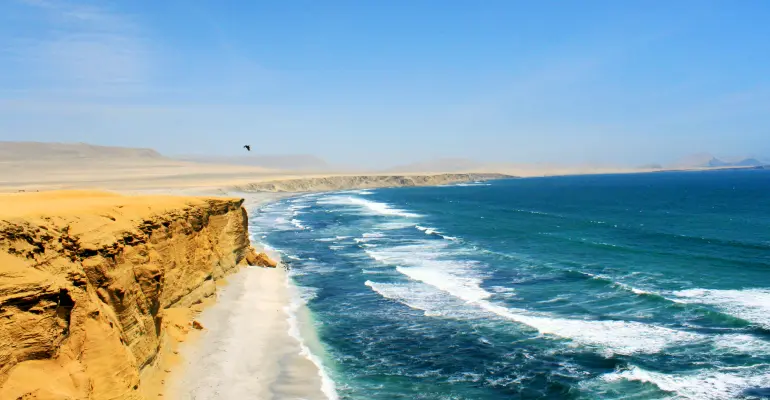 Paracas, Ica and Huacachina tour