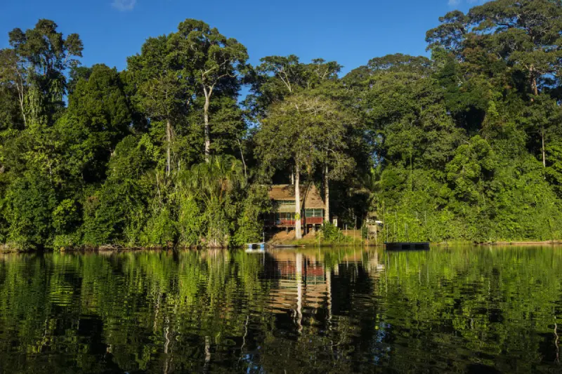 Ecológico: Tambopata e Cocha Perdida em 3 Dias — Foto 6