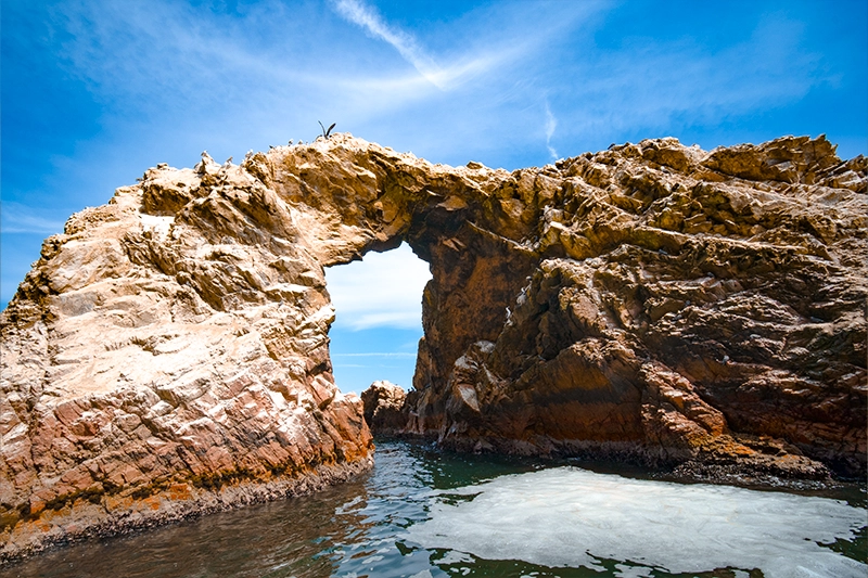 Passeio à Reserva Nacional de Paracas — Foto 4