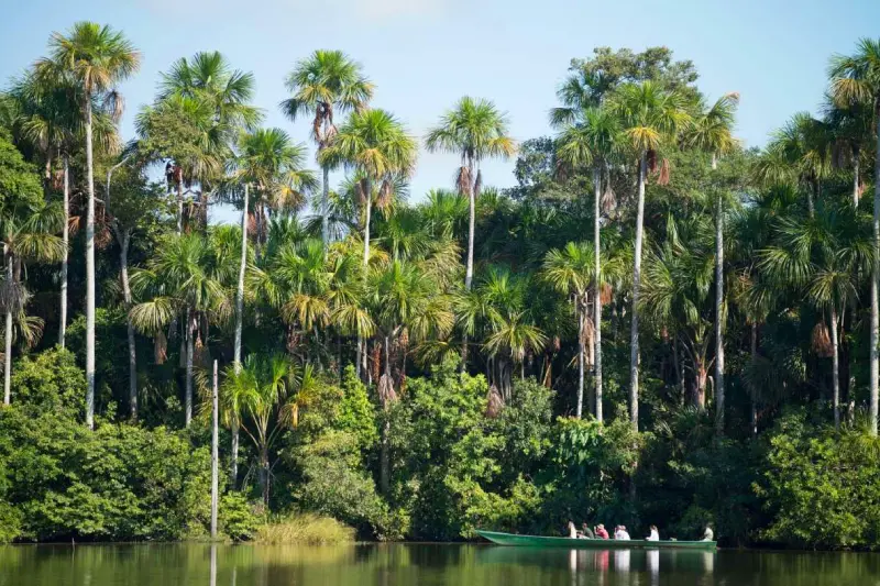 Ecológico: Tambopata e Cocha Perdida em 3 Dias — Foto 3