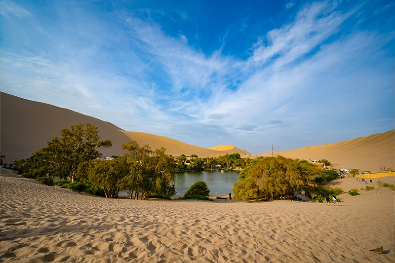Paracas, Ica e Huacachina com Buggy e Sandboard — Foto 4