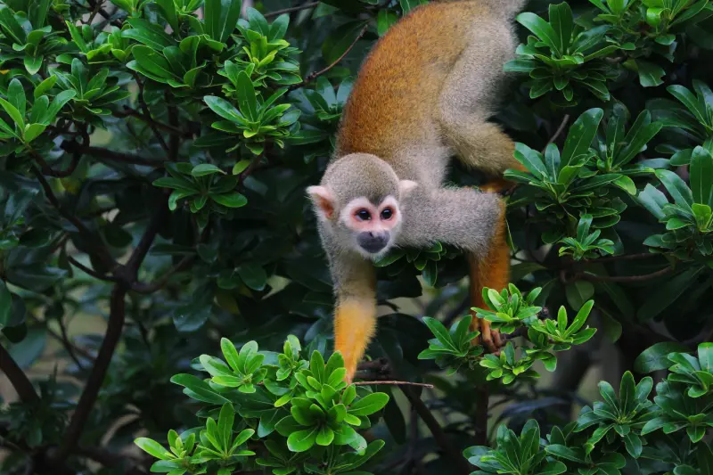 Peru Milenar: Costa, Andes e Amazônia em 10 Dias — Foto 16