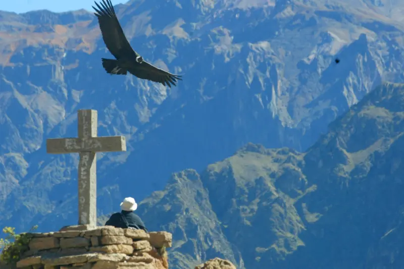 Cânion do Colca em 2 Dias e 1 Noite saindo de Arequipa — Foto 3