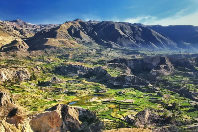 Cânion do Colca em 2 Dias e 1 Noite saindo de Arequipa — Foto 4