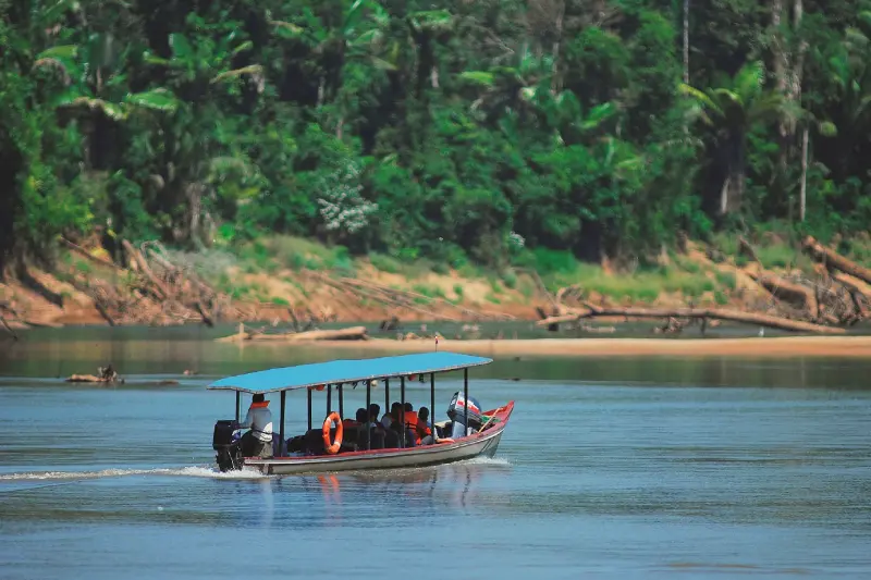 EcoParaíso: Tambopata em 5 Dias — Foto 9
