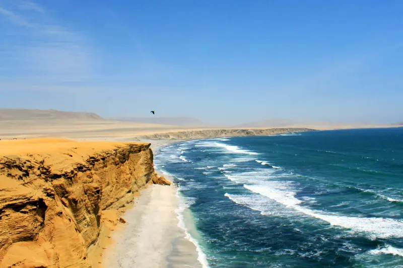 Ilhas Ballestas e Reserva Nacional de Paracas saindo de Ica — Foto 2
