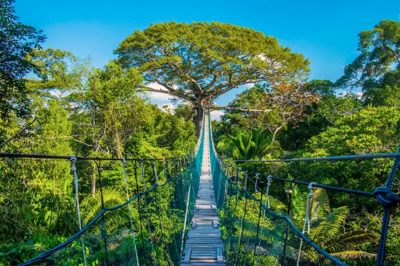 EcoAventura: Tambopata em 4 Dias — Foto 6