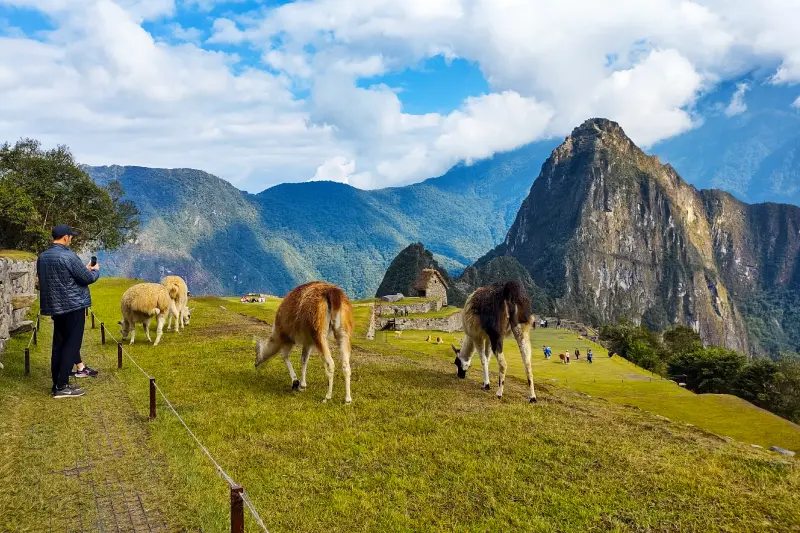 Lares Trek e Trilha Inca Curta a Machu Picchu em 5 Dias — Foto 9