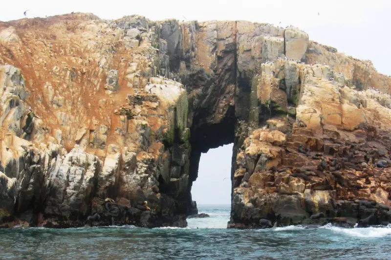 Passeio às Ilhas Palomino — Foto 1