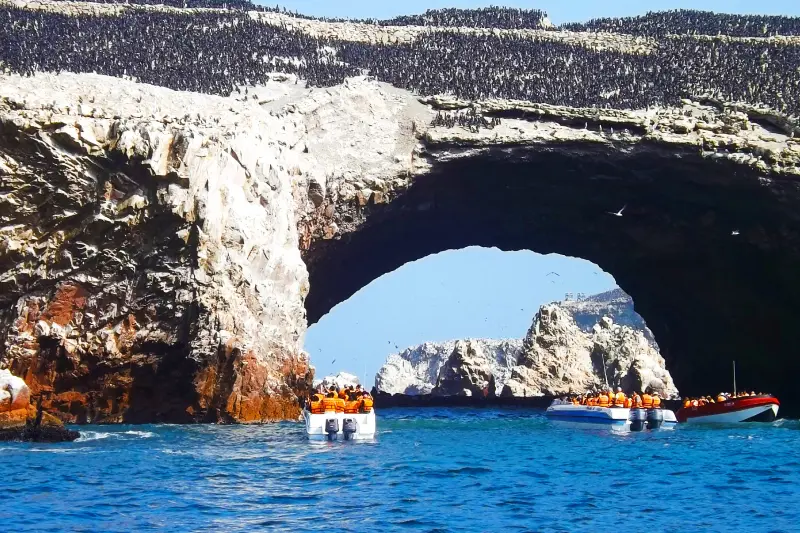 Ilhas Ballestas e Reserva Nacional de Paracas saindo de Ica — Foto 3
