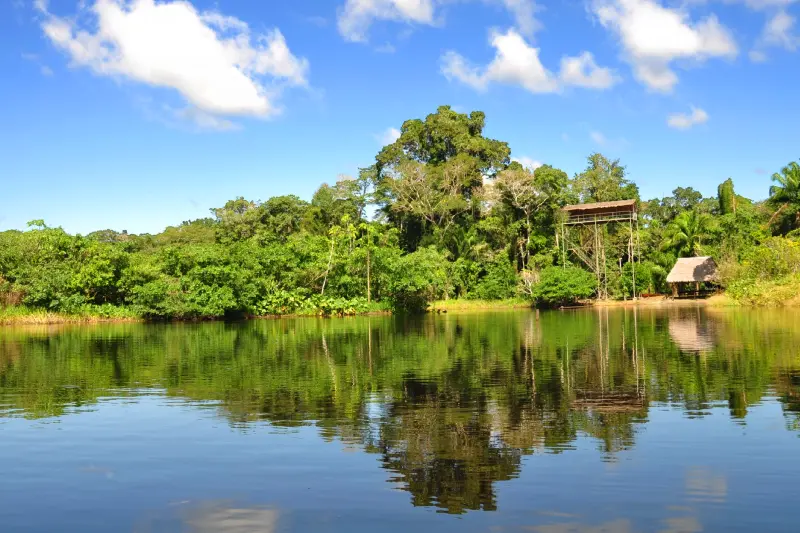EcoParaíso: Tambopata em 5 Dias — Foto 5