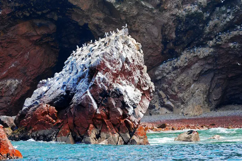 Ilhas Ballestas e Candelabro de Paracas — Foto 4