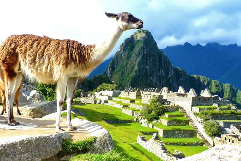 Caminho Inca Curto a Machu Picchu em 2 Dias — Serviço Privativo — Foto 4