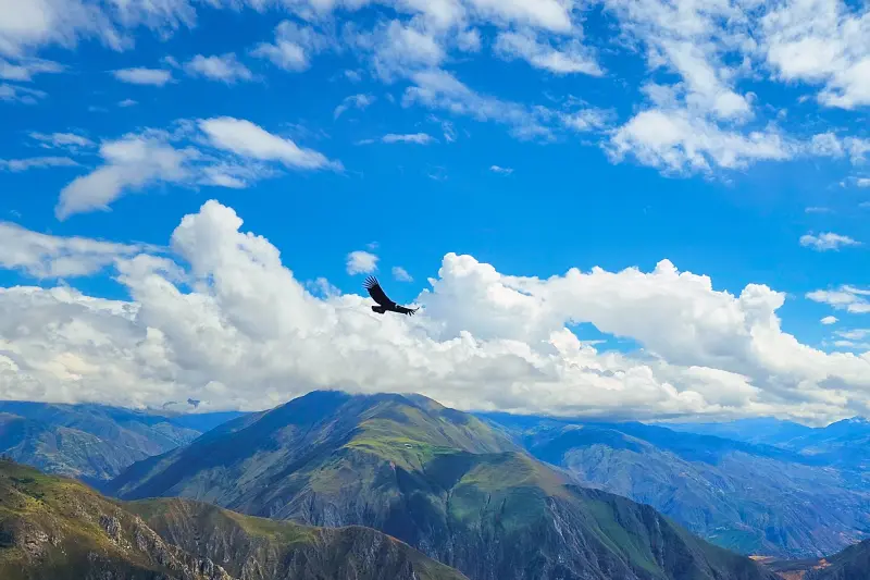 Mirante do Condor em Chonta — Um Dia — Foto 1
