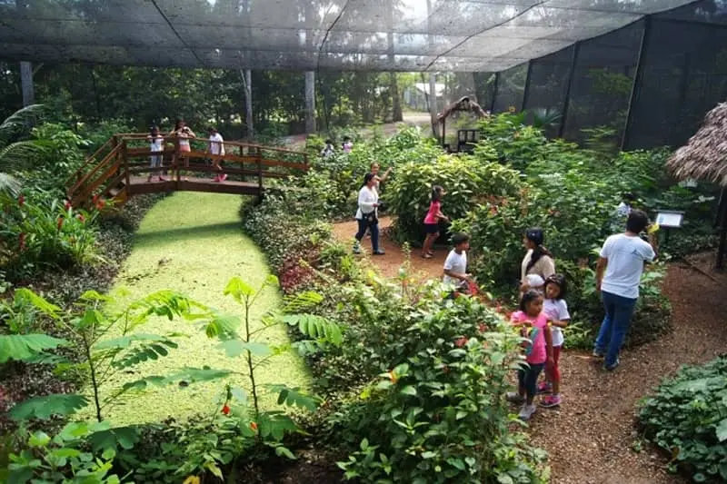 Jardin Botanico - Puerto Maldonado