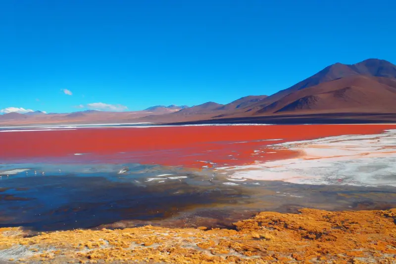 Laguna colorada - Bolivia
