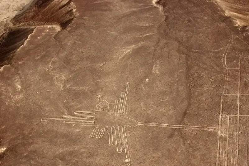 Lineas de Nazca Colibri - Nazca