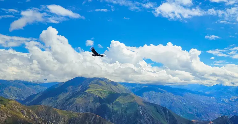 Mirador del Cóndor Cusco | Turistas avistando el impresionante vuelo del Cóndor