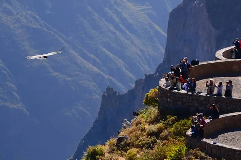 Mirador del cruz del condor - Arequipa