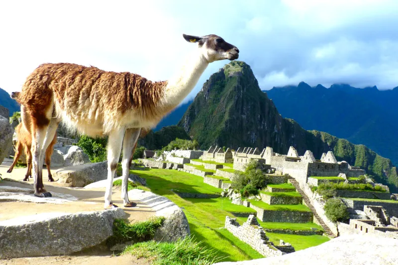 travel-machupicchu-cuzco-peru-waman-adventures
